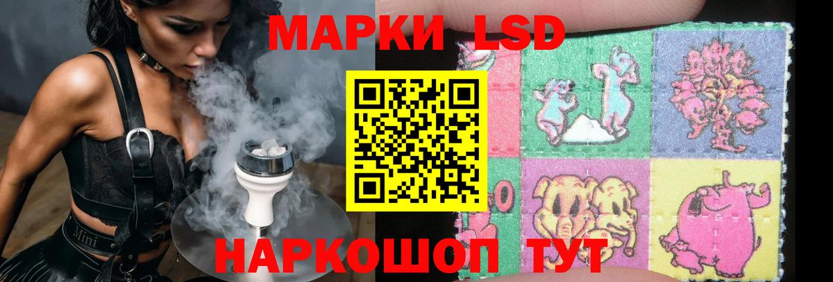 LSD-25 экстази кислота  ЛСД экстази кислота  ЛСД экстази  kraken как войти  Каменск-Шахтинский  Вход с VPN 