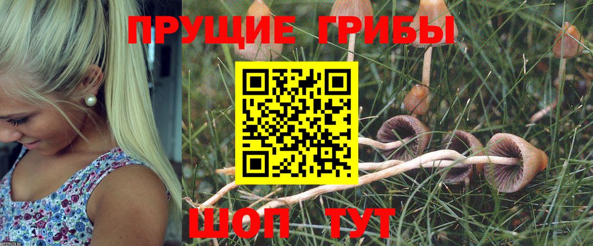 Псилоцибиновые грибы Cubensis  Вход с VPN  Каменск-Шахтинский  Псилоцибиновые грибы ЛСД 